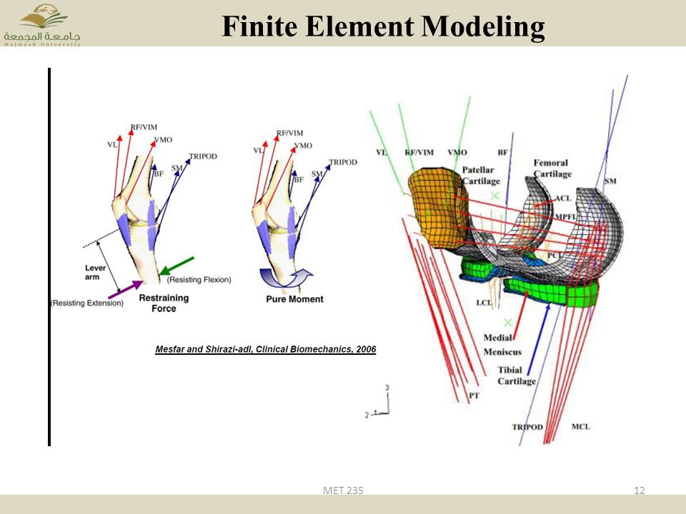 Finite element modeling thesis